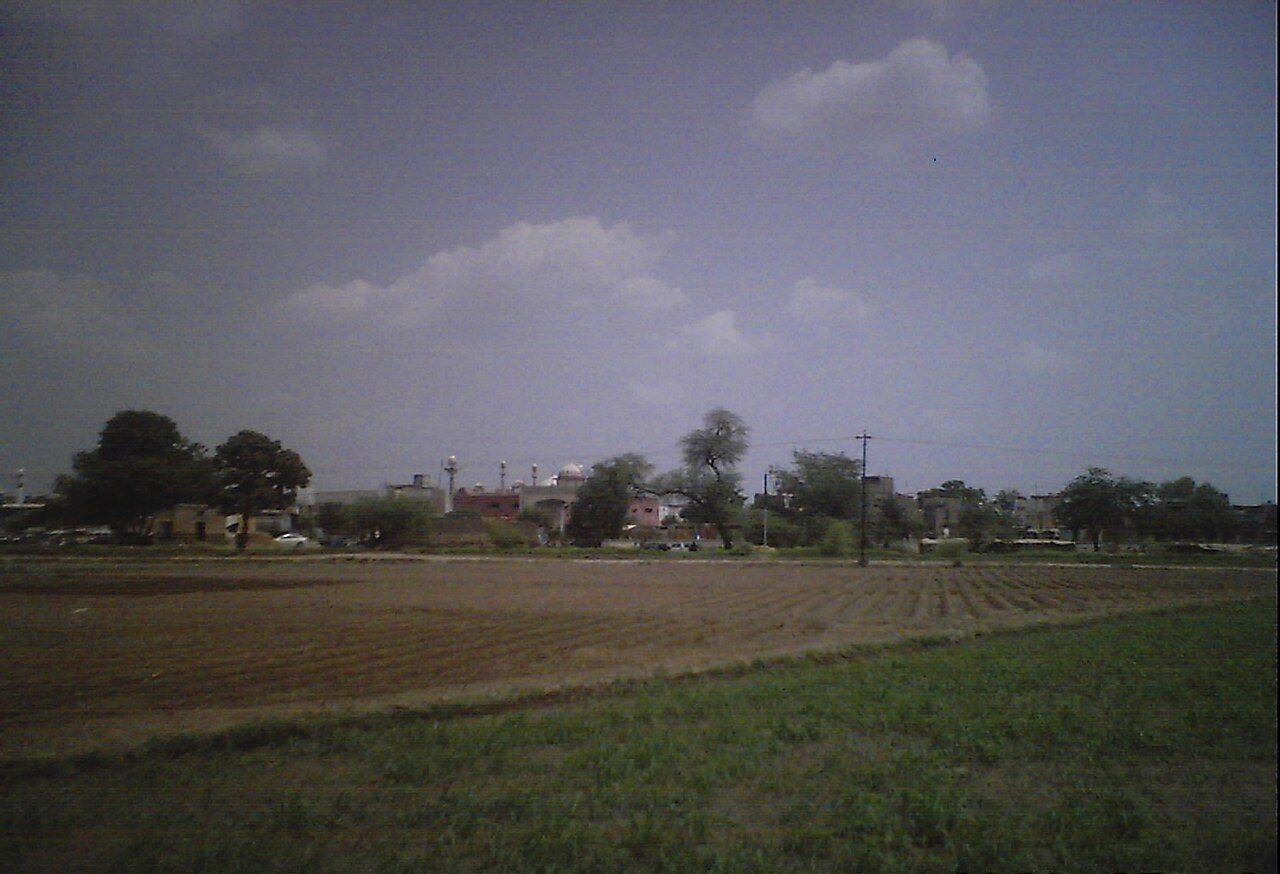 Cultivated fields at Chak 56/2-L on the edge of Okara